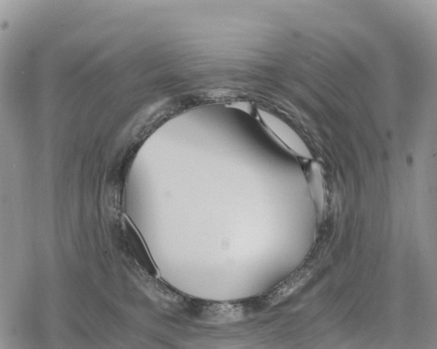 X0000078280421200611251423