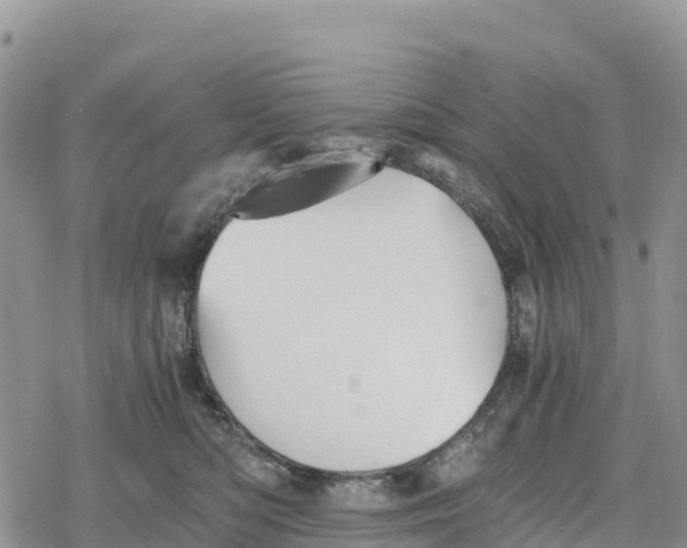 X0000078280422200611251423