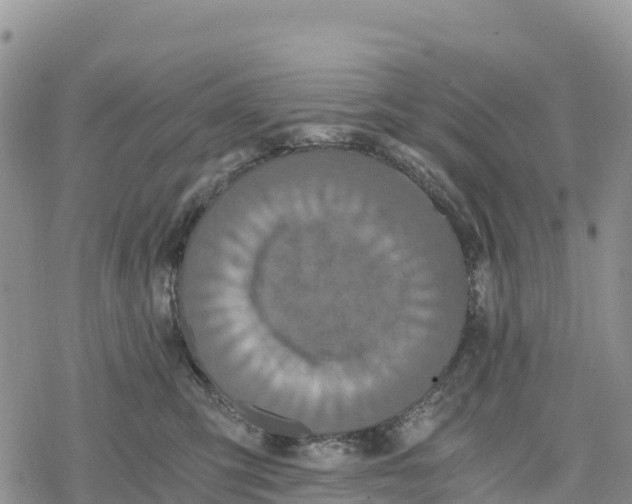 X0000078280423200611251423