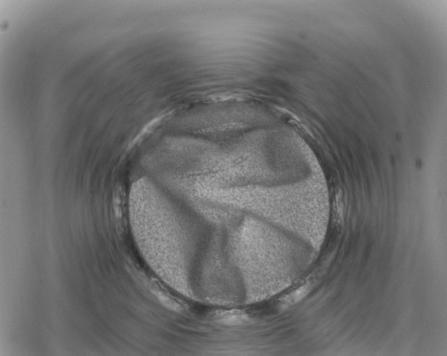 X0000078280424200611251423