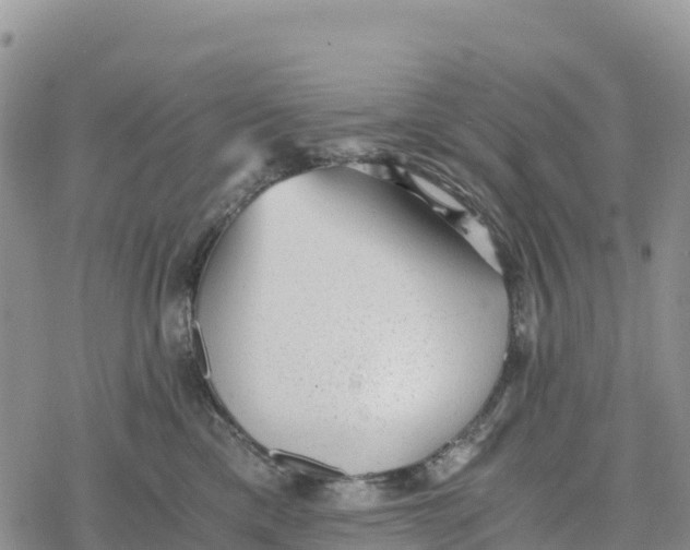 X0000078280425200611251423