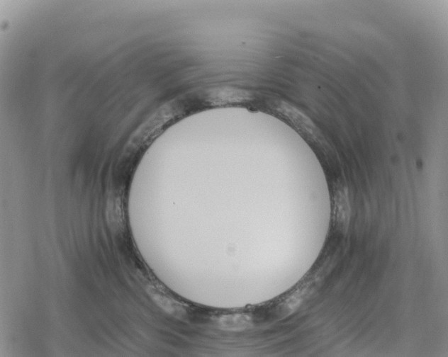 X0000078280426200611251423