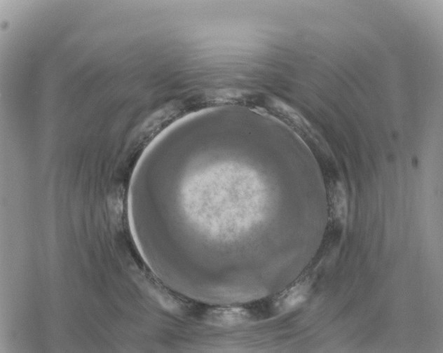 X0000078280427200611251423