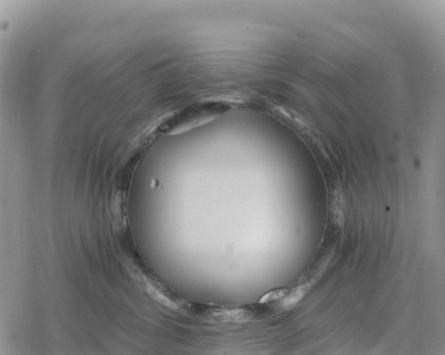 X0000078280428200611251423