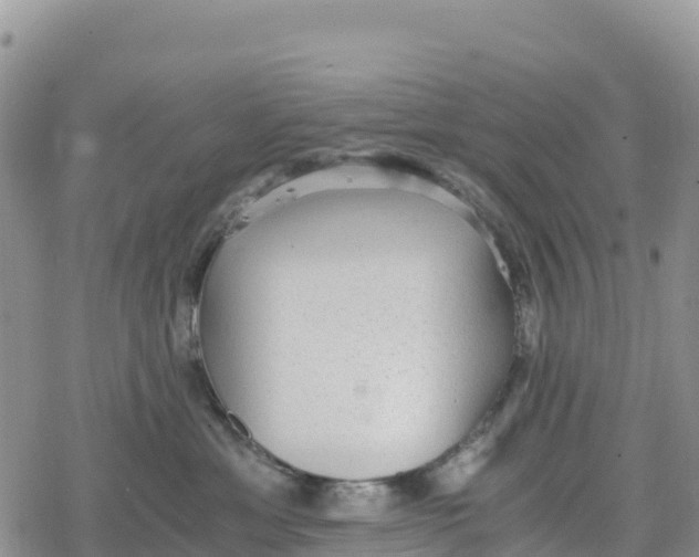 X0000078280429200611251423