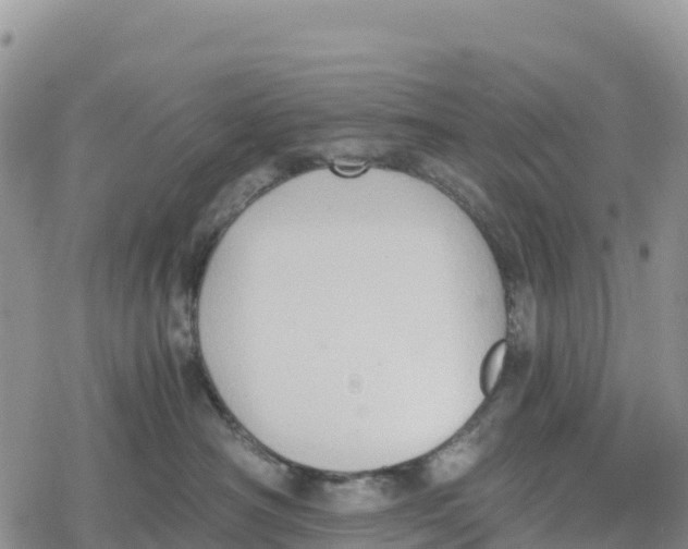 X0000078280430200611251423