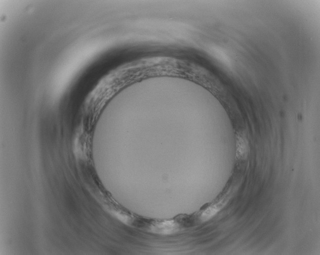 X0000078280431200611251423