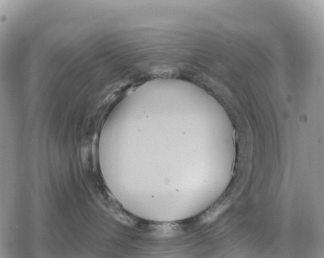 X0000078280432200611251423