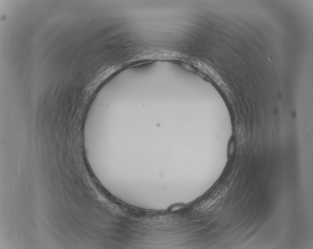 X0000078280433200611251422