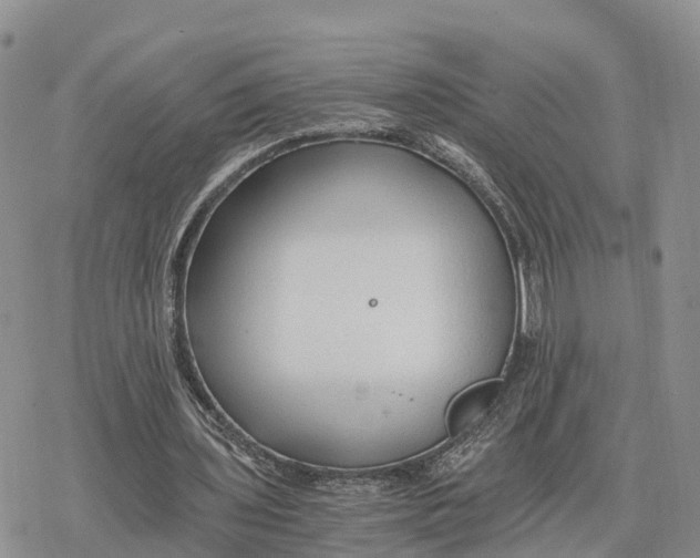 X0000078280435200611251422