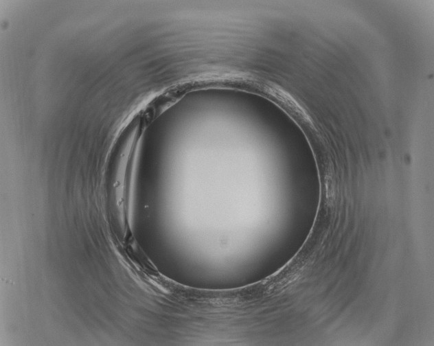 X0000078280436200611251422