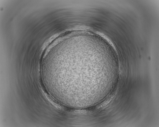 X0000078280437200611251422