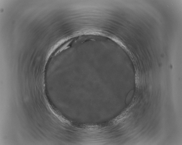 X0000078280438200611251422