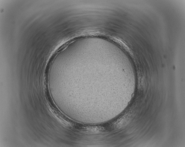 X0000078280439200611251422