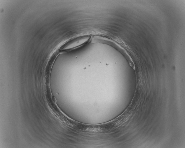 X0000078280440200611251422