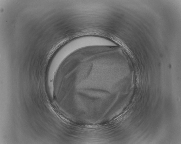 X0000078280442200611251422