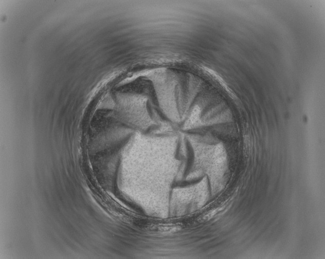 X0000078280443200611251422