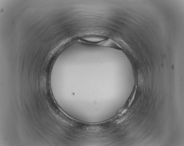 X0000078280444200611251422