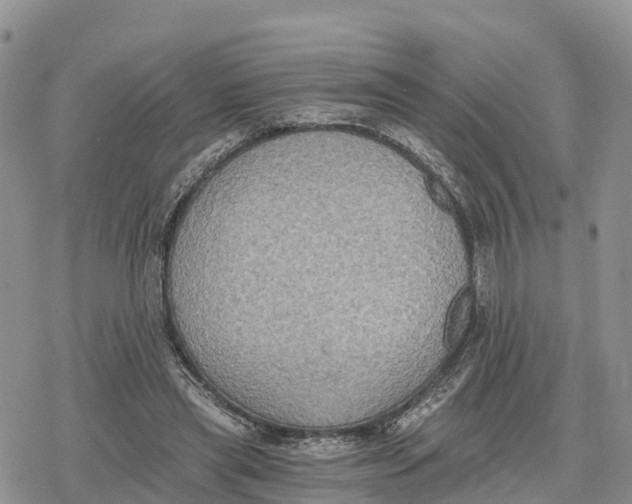 X0000078280445200611251422