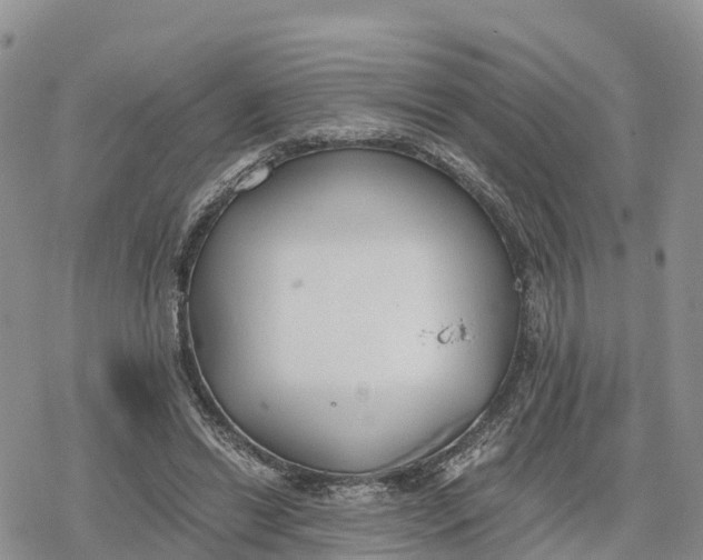 X0000078280446200611251422