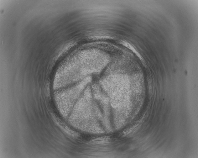 X0000078280447200611251422