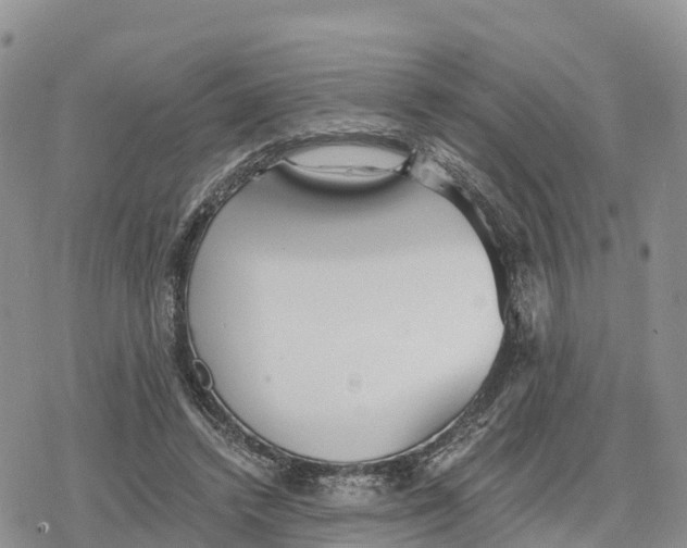 X0000078280448200611251422