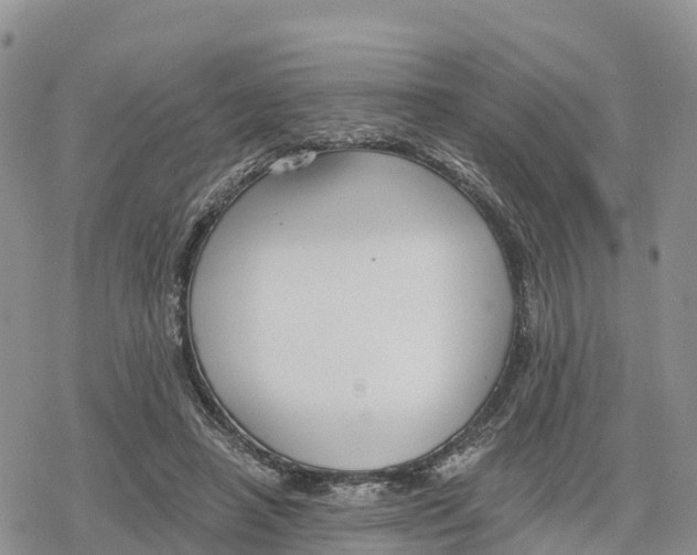 X0000078280450200611251422