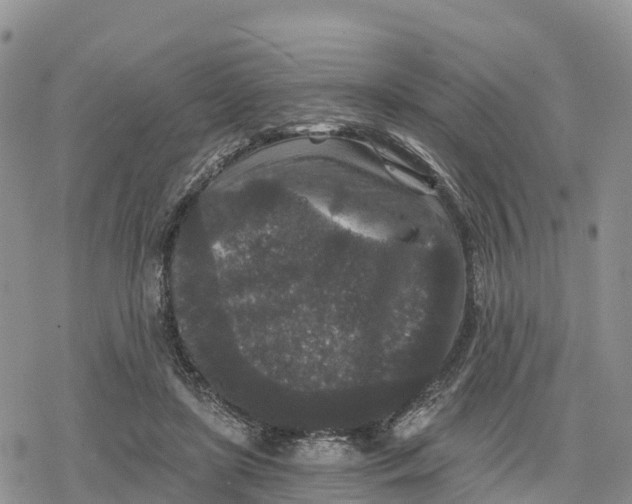 X0000078280451200611251422