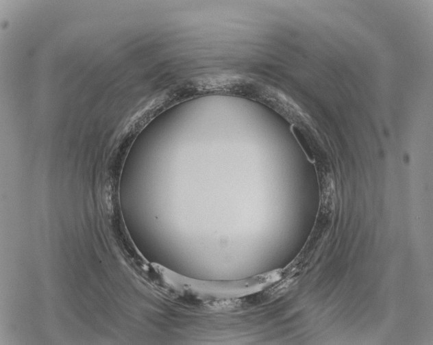 X0000078280452200611251422