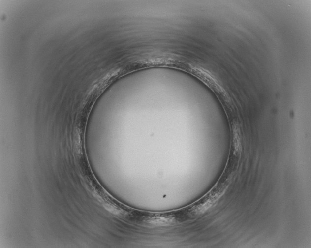 X0000078280453200611251422