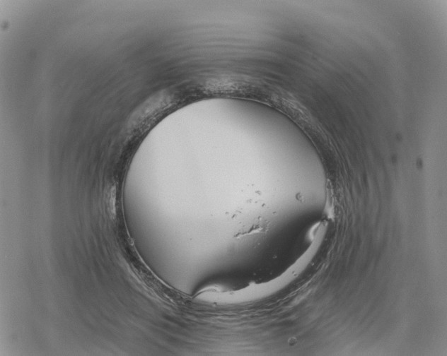 X0000078280454200611251422