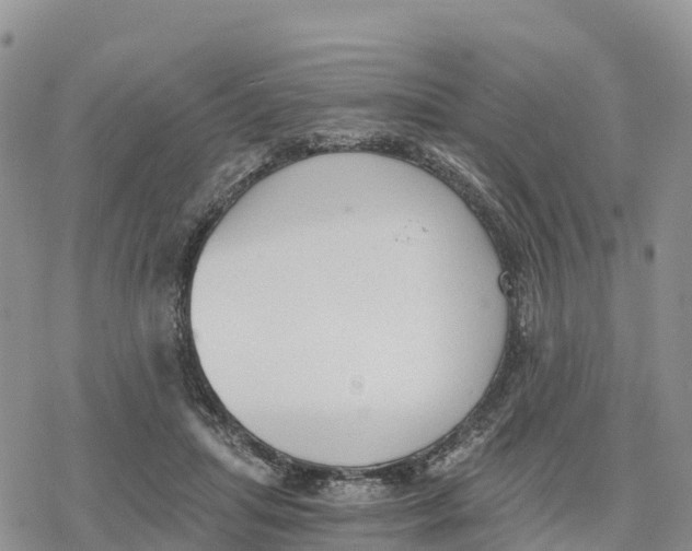 X0000078280455200611251422