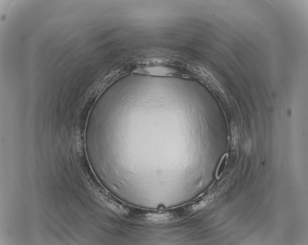 X0000078280457200611251422