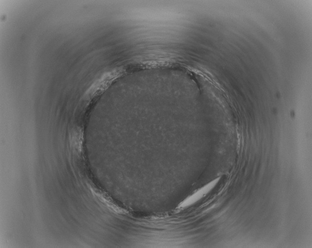 X0000078280458200611251422