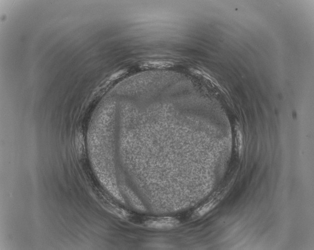 X0000078280459200611251422