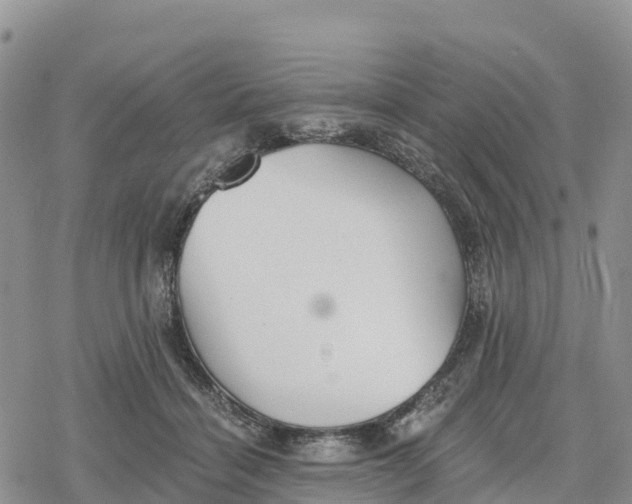 X0000078280460200611251422