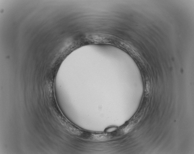 X0000078280461200611251422