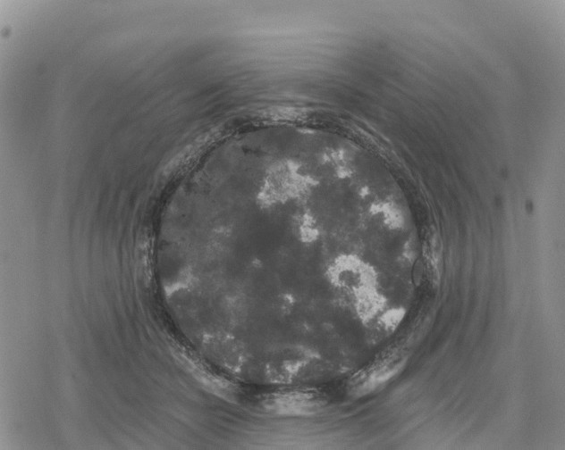 X0000078280462200611251422