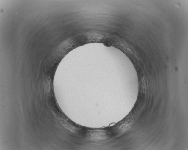 X0000078280463200611251422