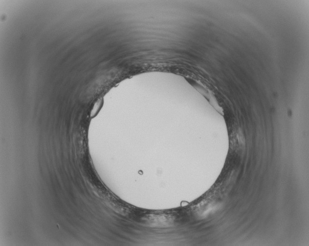 X0000078280464200611251422