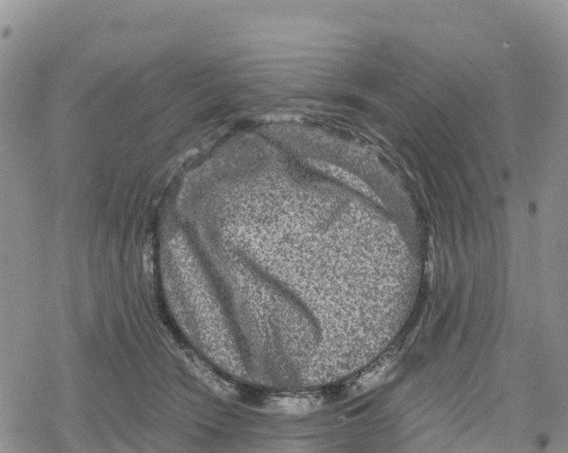 X0000078280466200611251422