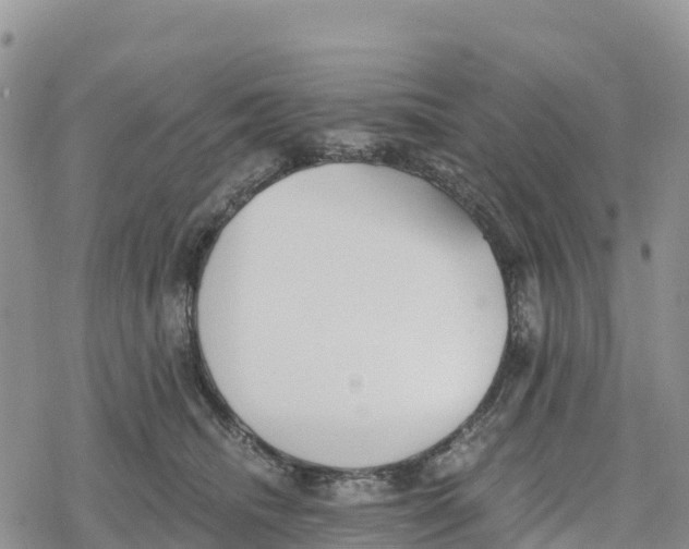 X0000078280468200611251422