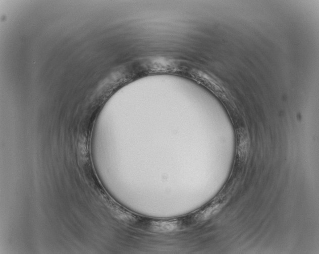 X0000078280469200611251423