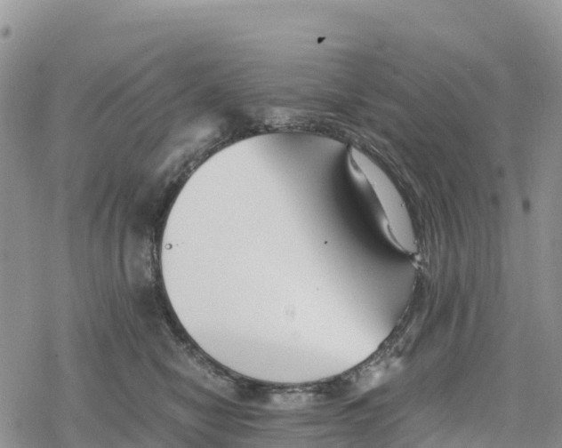 X0000078280470200611251423