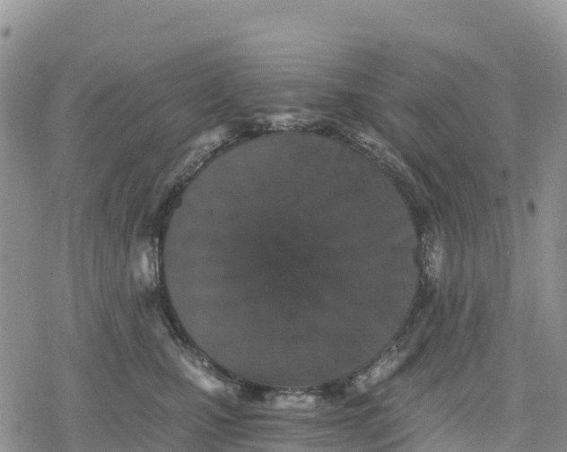 X0000078280471200611251423