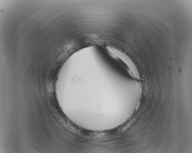 X0000078280472200611251423