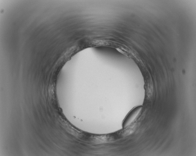 X0000078280473200611251423