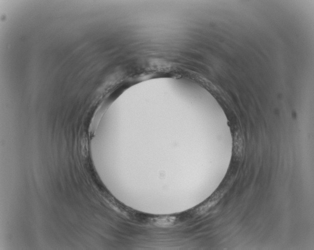 X0000078280474200611251423