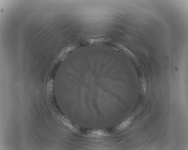 X0000078280475200611251423