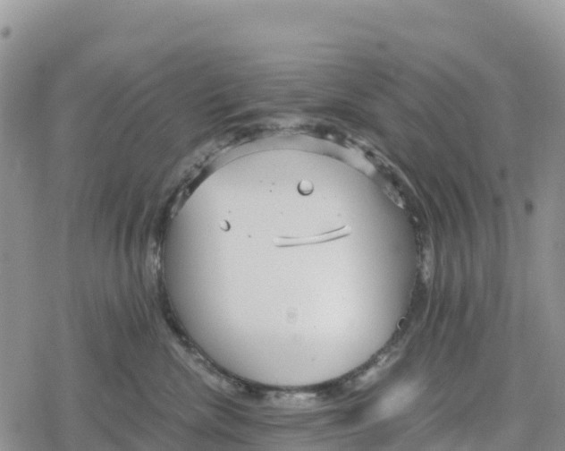 X0000078280476200611251423